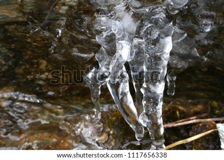 The thawing icicles similar to parts of a human body with the falling water drop in the mountains of France in the winter