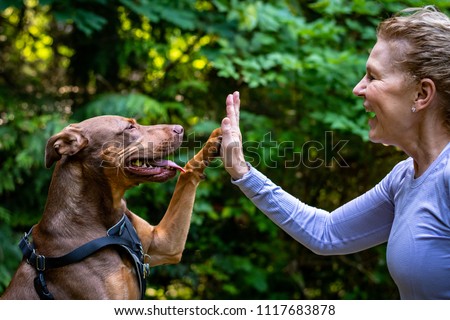 A middle aged woman and her two toned brown dog out in the woods, dog and woman playing high five and smiling
 Royalty-Free Stock Photo #1117683878