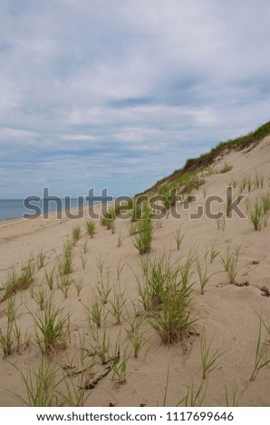 Summer Sand Dunes 