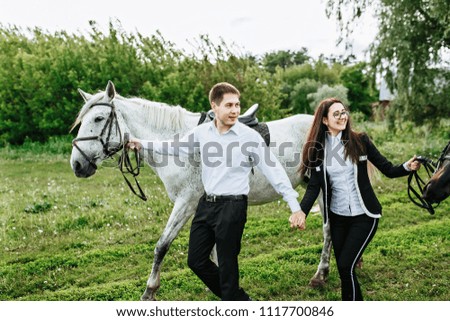 Loving couple walking with horses at sunny day. Two horses are walking in the field