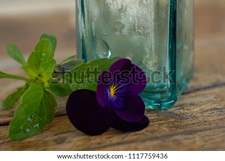 Glass vase flower pansy wood table close-up macro 