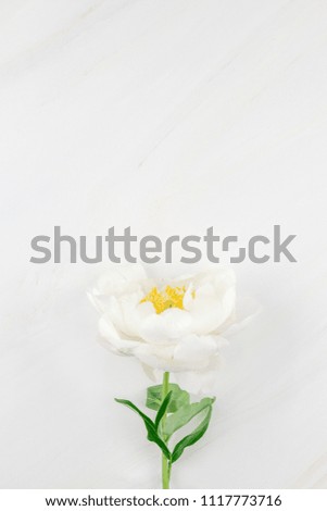 Beautiful blooming white peony flowers on marble background with copy space in minimal style, template for postcard, lettering, text or your design. Wedding invitation and celebration greeting concept