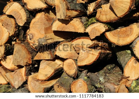 A stack of chopped firewood.