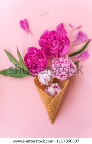 peony flowers in a wafer cone on a pink background