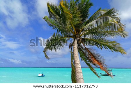 Palm tree over blue sea with sky and clouds background, postcard picture 