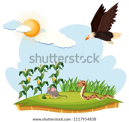 Scene with eagle, mouse and snake on a farm illustration