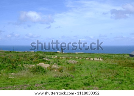 green meadow with ocean view