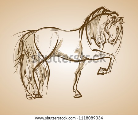 Galloping horse. Hand-drawn illustration