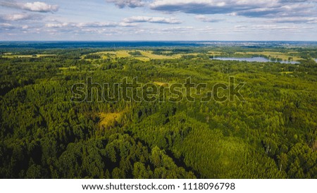 Aerial top view of summer green trees and road in forest in rural countryside Drone photography