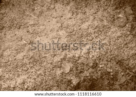 Abstract beige background