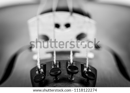 Close-up view of black and white violin bridge and fine adjustment screws