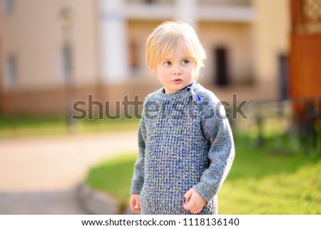 Cheerful little boy enjoying summer day. Active child playing. Freedom, rest and childhood concept. Portrait of cute kid outdoors