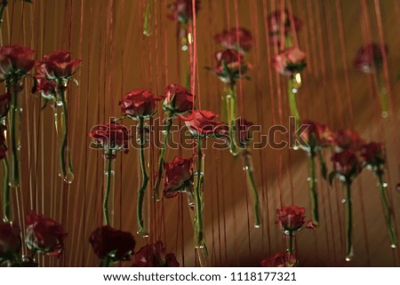 decor with roses. Glass test tubes with red rose flowers hang on brown background, concept of similarity