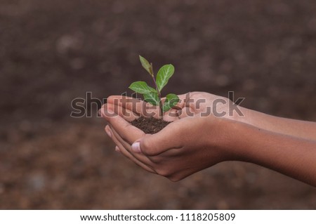 Plant growing on soil with hand holding over nature background.
