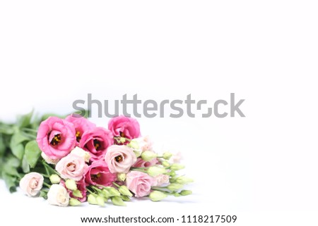 Bouquet of pink eustoma lies isolated on white background. Photo in the studio.