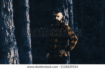 Lumberjack concept. Man with calm, tired face and beard in plaid or checkered shirt, lumberjack style, nature background. Man with stylish beard or brutal hipster walks in forest.