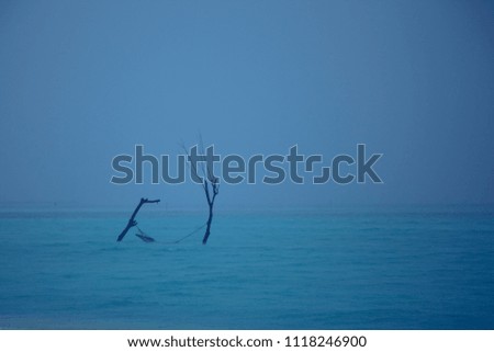Fog over the ocean. Hammock over the water. View of the ocean. Rainy day. Maldives Island. Maldive. Summer. 