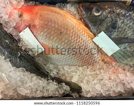 Fresh ruby fish and Tilapia fish for selling in supermarket in Thailand.