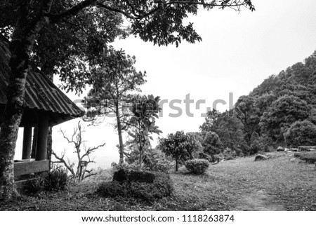 Beautiful scenery on a hill with trees and scenic pavilions. Black and white tone makes you feel calm.