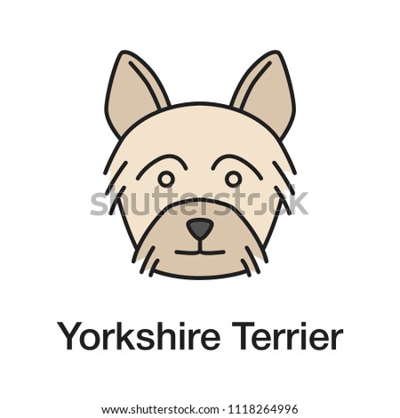Yorkshire Terrier color icon. Yorkie. Isolated raster illustration