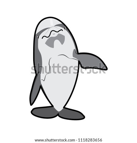 dolphin icon, illustration vector template