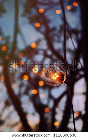 Vintage round warm yellow light bulb in the evening.Beautiful dark blue sky,yellow round bokeh and branches of Plumeria as background.