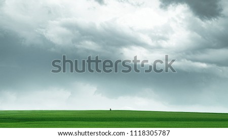 man is walking alone through the green field before the storm