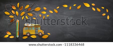 Back to school concept. Top view banner of school bus and pencils next to tree sketch with autumn dry leaves over classroom blackboard background Royalty-Free Stock Photo #1118336468