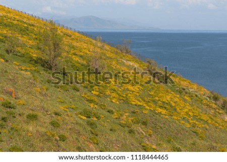 picturesque hill on the background of the sea and mountains
