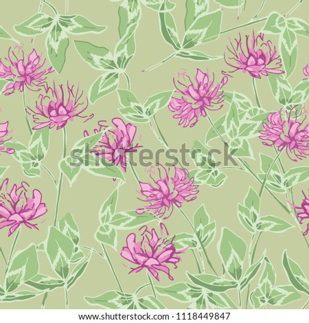 Blooming, pink clover. Wildflowers with motley leaves. A gentle plant. Trifolium