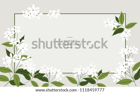 Vector jasmine flower banners. Design for tea, natural cosmetics, beauty store, organic health care products, perfume, essential oil, aromatherapy. Can be used as greeting card or wedding invitation Royalty-Free Stock Photo #1118459777