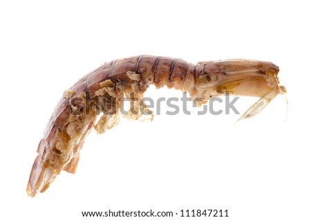 seafood animal mantis shrimp isolated on white