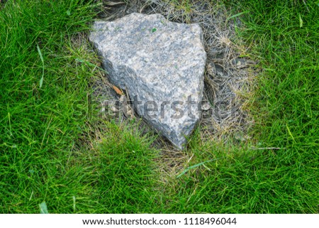A beautiful stone on the green grass.Nature texture stone and grass.