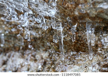 The thawing icicles with the falling water drop in the gorge of mountains of France in the provinces of the Alpe d'Huez, Vaujany
