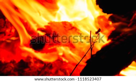 orange fire flames