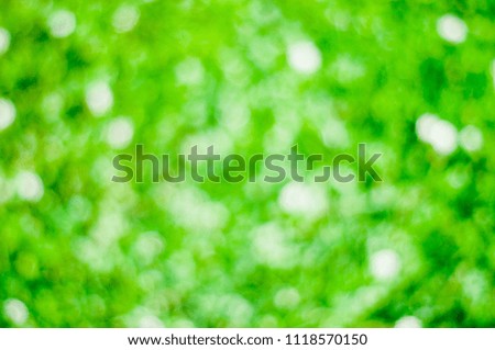 green grass background blur