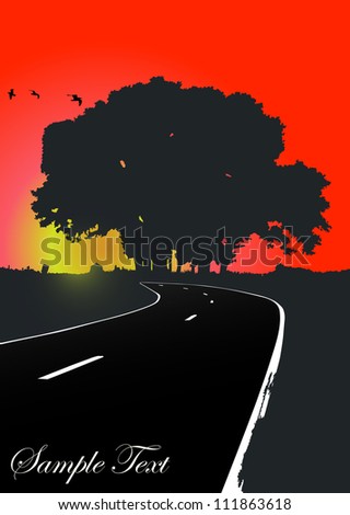 Silhouette of the tree on the road