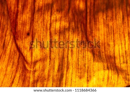 Banana leaves ,dry banana leave brown color background of nature.

