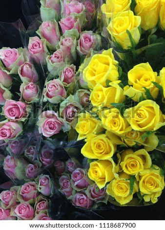 Bouquets of colorful roses. Paris. Yellow and pink roses. 