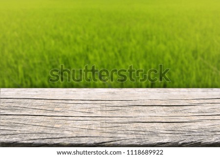 Old wooden and rice field green grass