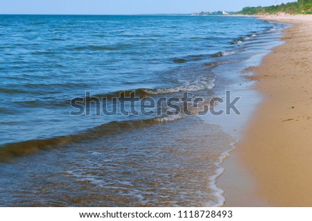 sea water foam, sea wave, the excitement on the shore sea, the water is boiling, coastline
