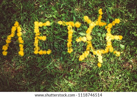 Yellow inscription Summer from dandelions lined on a green meadow with a picture of the sun