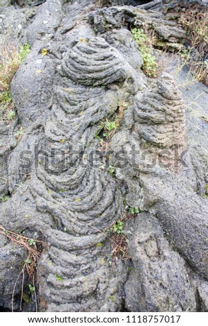 cognoli di Ottaviano, solidified lava in the shape of a rope in Vesuvius National Park