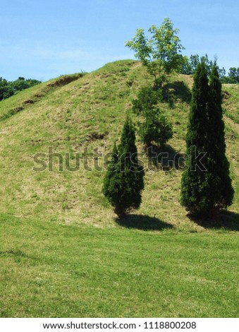 Hill and Trees
