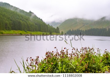 View of a beautlful lake Talla in Scottish borders with green hills covered by thick rainy clouds.