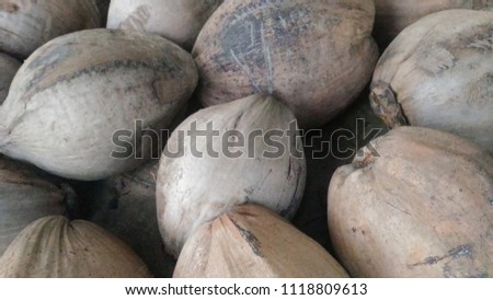Coconut Ripe Multi-Ball