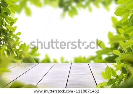wooden table top with spring fresh green leafs as frame and free space for text