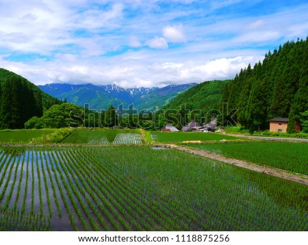 A paddy field and the northern Japanese alps.This place is Aooni Area.Hakuba Nagano Japan.Early June. Royalty-Free Stock Photo #1118875256