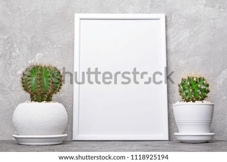 Small cacti in flower pots and mock-up of white frame with copy space for poster on gray concrete background