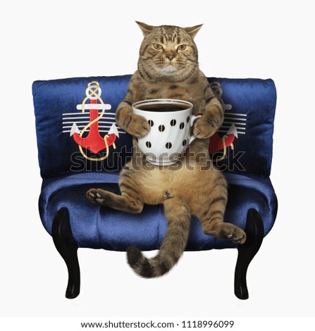 The cat with a cup of black coffee sits on a blue sofa. White background.